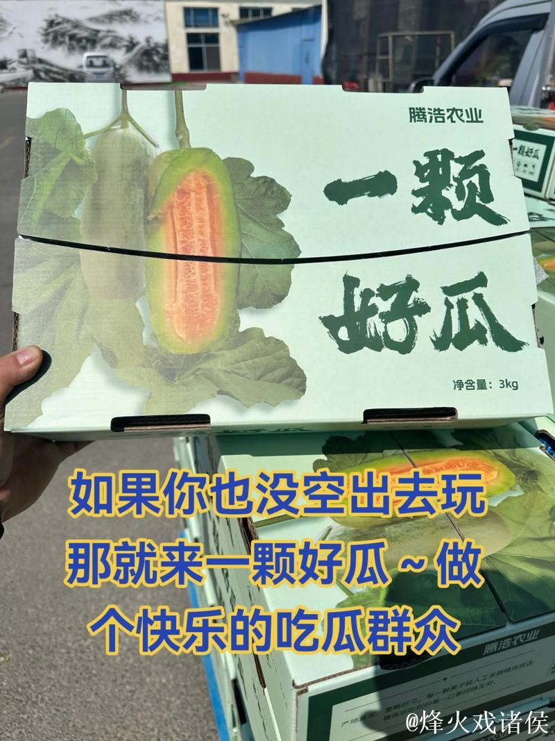 51吃瓜网：热心朝阳群众的瓜田乐园